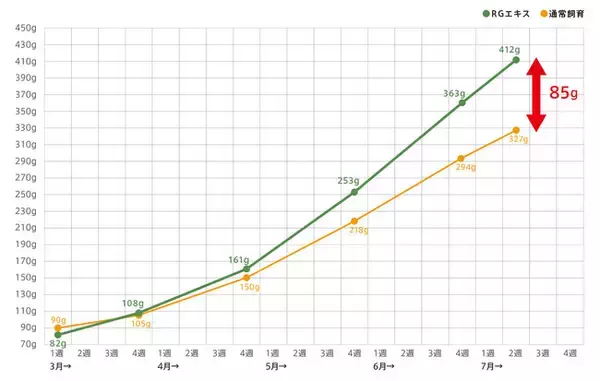 サカナも温泉好きだった！温藻ヒラメがいざ出陣！驚くべき温泉のチカラ！