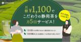 「月額1,100円で静岡茶のサービスを月に5回楽しめるサブスクリプションサービス「ちゃブスク」がスタート！県内の10店舗以上の加盟店でお茶巡りを楽しめます！！」の画像1