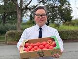 「「買い続けることが、支援になる。」農業被害2,000カ所超の熊本へ、静岡のとんかつ店が熊本県産トマトの継続仕入れを開始」の画像1