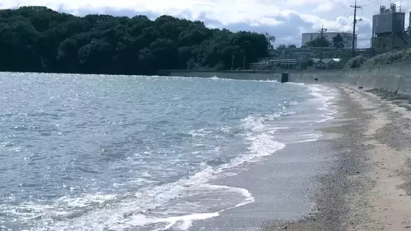 「透明な海に魚はいない ー地域金融グループが伝えたい瀬戸内海の豊かさと挑戦ー」の画像