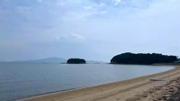 「透明な海に魚はいない ー地域金融グループが伝えたい瀬戸内海の豊かさと挑戦ー」の画像