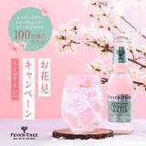 「『フィーバーツリー お花見キャンペーン』フォロー＆いいねでトニックウォーター1ケース(24本)が100名様に当たる！」の画像1