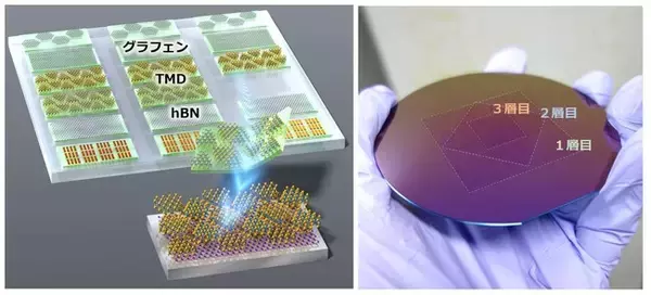 世界初、グラフェンなどの二次元材料テープを開発