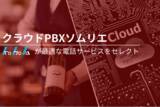 「【業界取り扱い数No1】「企業の電話のクラウド化」ができる電話トータルコンサル事業「クラウドPBXソムリエ」を開始いたしました」の画像1
