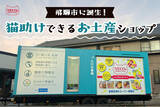「猫助けできるお土産ショップ、8月8日(木)岐阜県飛騨市にグランドオープン！コストコ再販店「ネコス ミニ」も併設。収益は保護猫活動に役立てられます。」の画像1