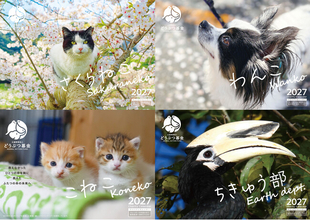 どうぶつ基金の大人気商品、毎年売り切れ続出のチャリティーカレンダー先行販売スタート！