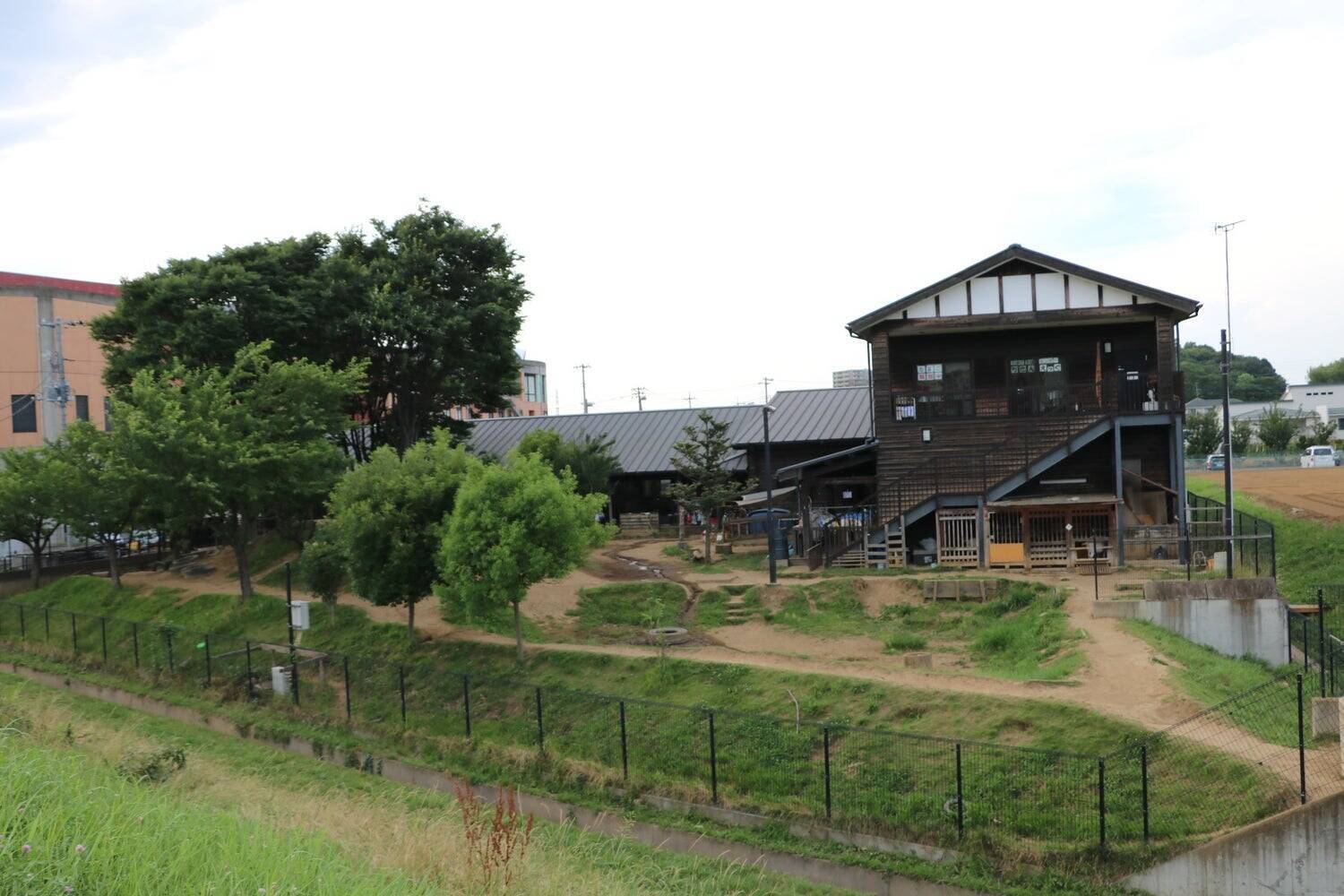 障害の有無にかかわらず子どもたちが混ざり合う生活の場を。「インクルーシブ保育のパイオニア」どろんこ会グループの25年間のあゆみ