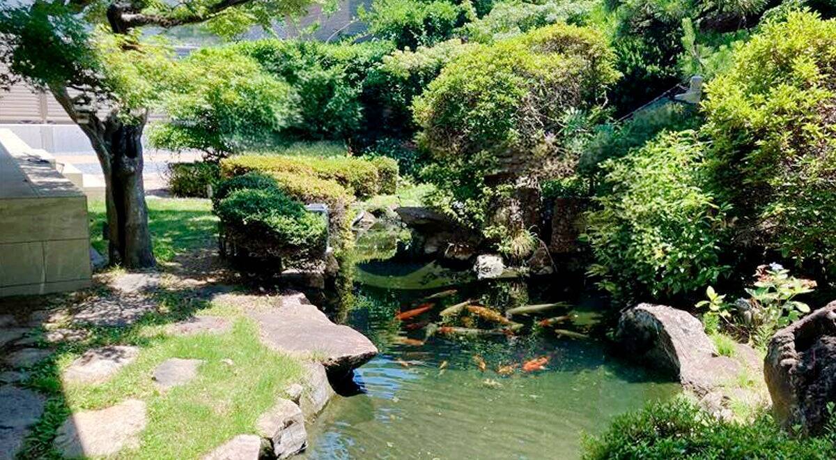 非常識と言われたろ過機―観賞池用ろ過「湧清水」の開発に挑んだ技術者たち