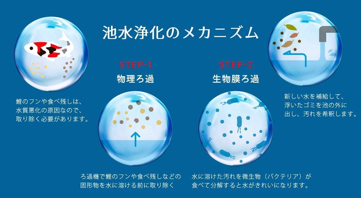 非常識と言われたろ過機―観賞池用ろ過「湧清水」の開発に挑んだ技術者たち
