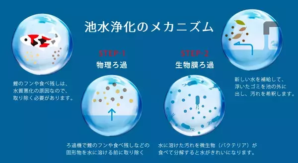 「非常識と言われたろ過機―観賞池用ろ過「湧清水」の開発に挑んだ技術者たち」の画像