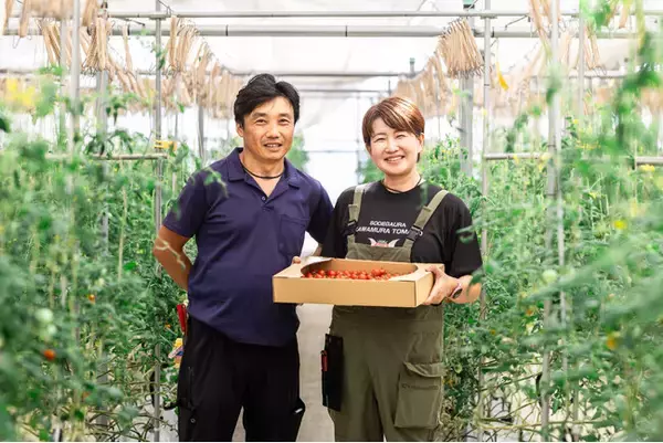 「出荷できないなら、形を変える」　―猛暑で売上半減したトマト農家、加工ブランド『蜜玉』で全国へ挑戦（千葉県袖ケ浦市）