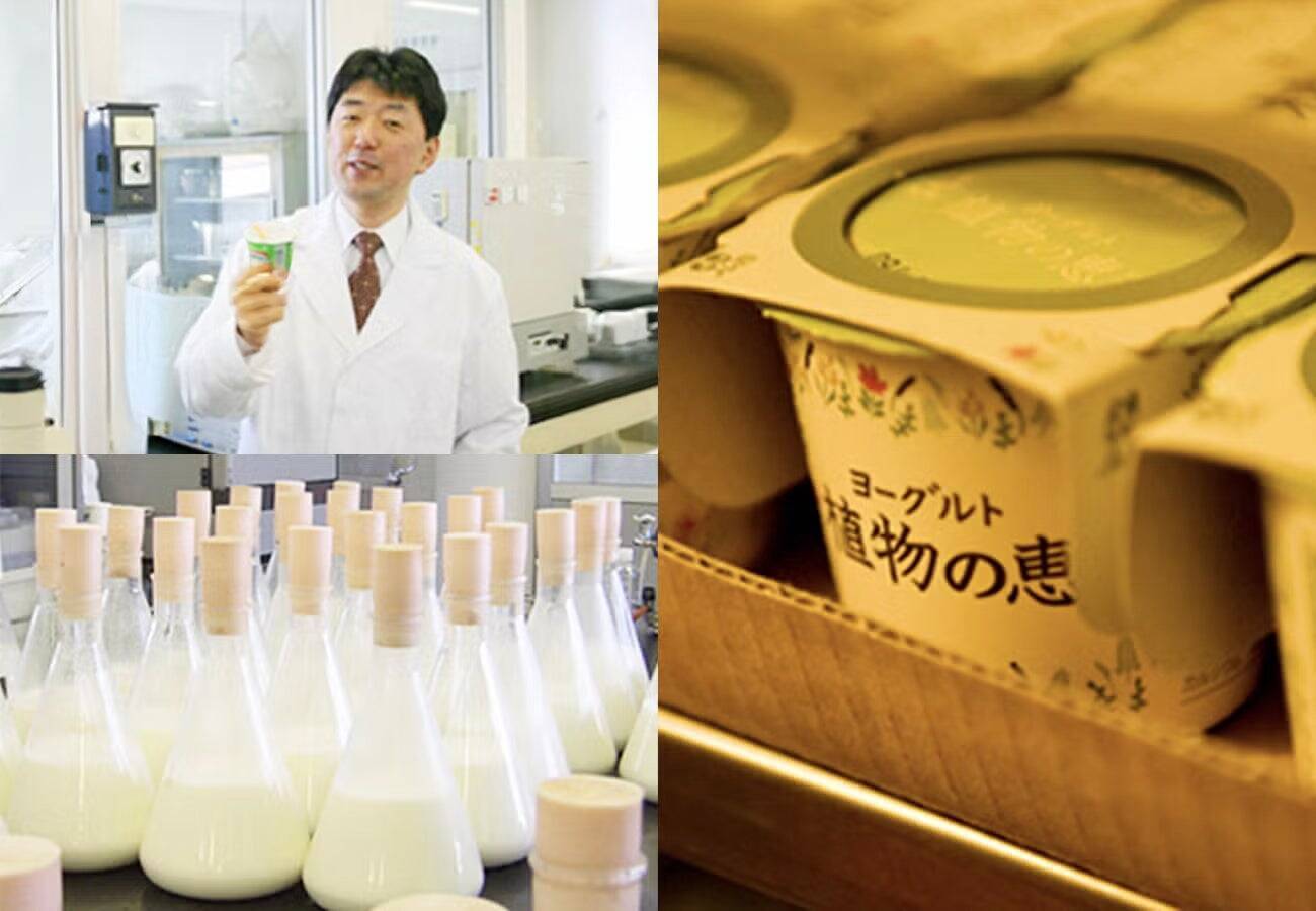 【広島から世界へ！】腸活ベンチャー「野村乳業」V字回復の裏側にあった数々の挑戦とマイ・フローラ誕生秘話