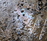 「油で汚染された土壌専用の洗浄剤を開発」の画像1