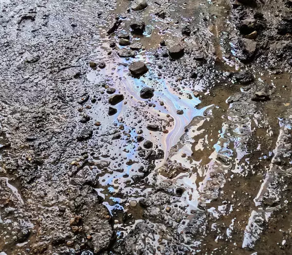 油で汚染された土壌専用の洗浄剤を開発