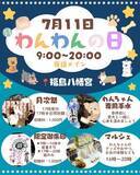 「福岡県八女市 夜の神社が愛犬家の交流拠点に。福島八幡宮「わんわんの日」を7月11日に開催。」の画像1