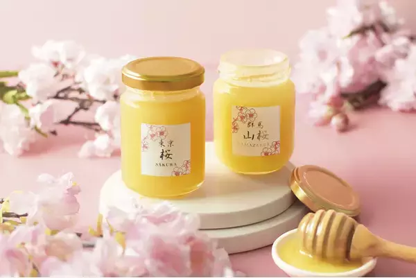 「【ラベイユ】桜シーズン限定！桜の開花時期に合わせてミツバチが集めた稀少な逸品「桜のはちみつ」2種」の画像