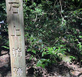 「日本茶800年の歴史の起源に触れる。佐賀・脊振山に伝わる「栄西茶」東京講演2026、9月13日（日）に大妻女子大学にて開催決定！」の画像1