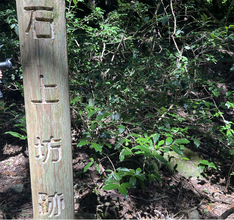 日本茶800年の歴史の起源に触れる。佐賀・脊振山に伝わる「栄西茶」東京講演2026、9月13日（日）に大妻女子大学にて開催決定！