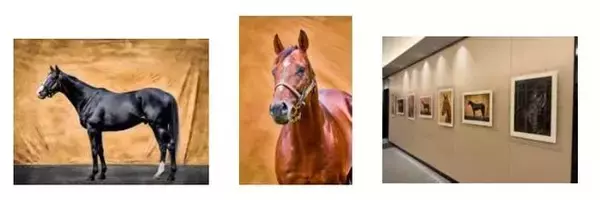 「写真家・宮澤正明、今年の干支「馬」をテーマにした国際写真展へ参加～日本外国特派員協会（FCCJ）ギャラリーにて、名馬サラブレッドの「瞬間の肖像」を展示～」の画像