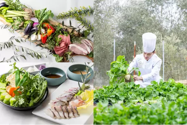 【淡路島】ミシュラン12年連続星獲得シェフ・唐渡氏監修。淡路島産食材とオリーブ和牛の新グランピングメニュー誕生「Virgin Valley（バージンバレー）」