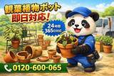「【目黒区】観葉植物ポット迷子 回収キャンペーン（3月は1,000円割引）｜不用品回収のまるっと本舗」の画像1