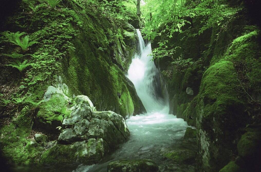 岩手県気仙地方を代表する酒造「酔仙酒造」が震災を乗り越えて守り続けるものとは