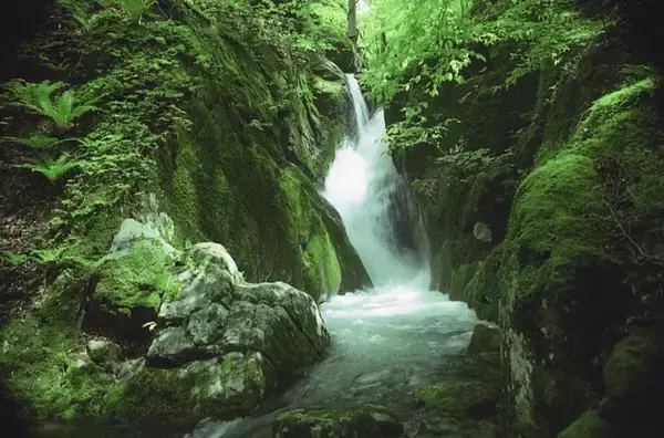 「岩手県気仙地方を代表する酒造「酔仙酒造」が震災を乗り越えて守り続けるものとは」の画像