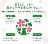 「総顧客数180万人以上、さくらの森ブランディング責任者が語る、ブランドづくりの舞台裏」の画像14