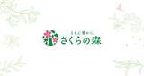 「総顧客数180万人以上、さくらの森ブランディング責任者が語る、ブランドづくりの舞台裏」の画像3