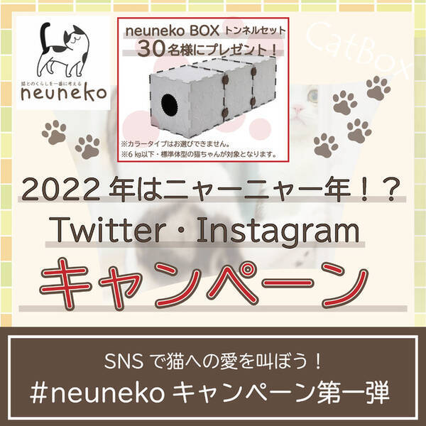 22年はニャーニャー年 Snsで猫への愛を叫ぼう 猫ちゃんの遊具が当たる Neuneko ねうねこ Twitter Instagramキャンペーン開催 22年1月14日 エキサイトニュース