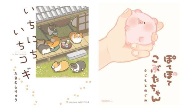 Snsで大人気 かわいい動物たちのほっこり癒しコミック いちにちいちコギ ぽてぽてこぶたちゃん 22年7月15日 金 発売 22年7月15日 エキサイトニュース Snsで大人気 かわいい動物たちのほっこり癒しコミック いちにちいちコギ ぽてぽてこぶたちゃん 22年7月15日 金 発売 22年7月15日 エキサイトニュース