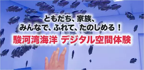 アルファコード「東京ガールズコレクション（TGC）しずおか2026」連携イベントで産官学協働 XR体験コンテンツを提供