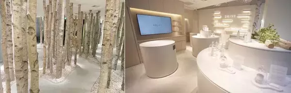 銀座4丁目に白樺の森が出現！マイクロツーリズムの新スポット！養生堂企画が“感動型ショップ”を銀座4丁目にオープン！マスクストレスを解消する、白樺マスクスプレーを3000名様にプレゼント
