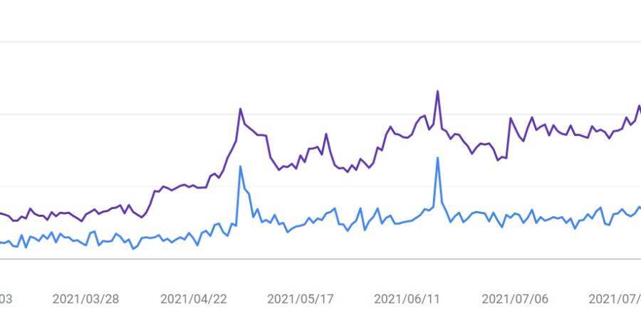 SEO・SNS・広告など複雑化したウェブマーケティング支援で中小企業や地方に貢献するNYマーケティング株式会社の創業ストーリー