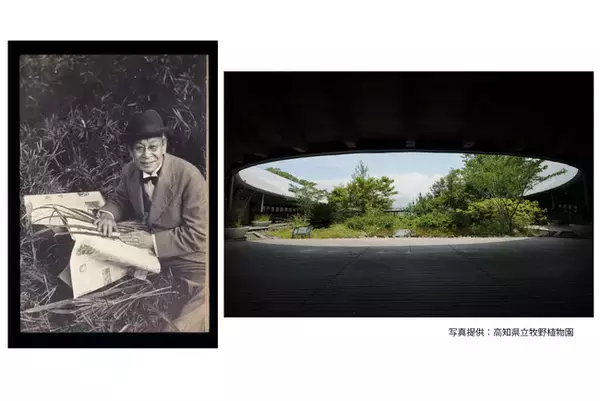 ～おいしい風土 高知～　高知家グルメフェア関連イベント　高知県立牧野植物園　園長による講演会　「身近な薬用植物～牧野植物園の紹介」6月25日開催