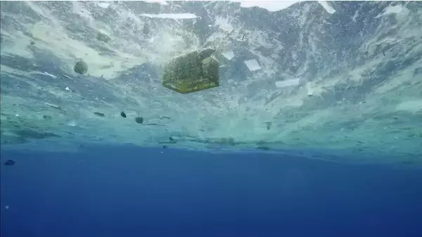 【申込み受付中】「水族館の人と考える海/生命/環境のこと」映画上映/水族館ツアー/対話のイベントを開催