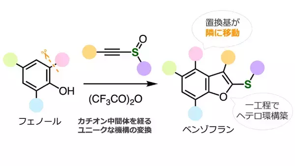 置換基が密集したベンゾフランを簡便合成する手法を開発 ～ベンゼン環上の置換基が隣接炭素に移動するユニークな反応機構～