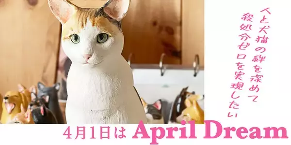 人と犬猫の絆を深めて殺処分ゼロを実現したい！