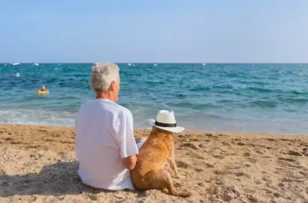 【OAGウェルビーR】ブルーオーシャンセレモニーの海洋散骨とのセットプランを提供開始