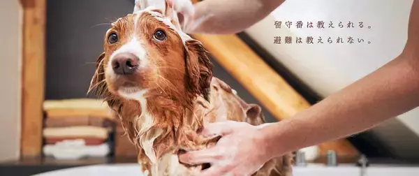 【報道機関受付中／締切まで残り2週間】開催時間決定（受付開始：14時30分、会見開始時間：15時00分）｜取材申込多数につき早期締切の可能性あり｜日本ペット防災協会 第1回設立記者会見（5/20開催）