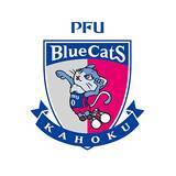 「【PFUブルーキャッツ石川かほく】ミャンマー中部で発生した地震に対するメッセージ」の画像1