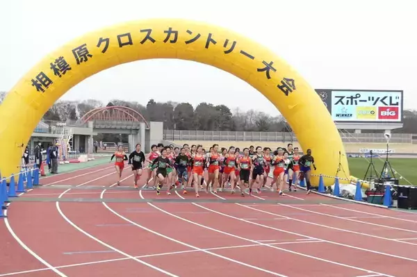 全国のランナーの皆さん！３月１４日（土）開催「相模原クロスカントリー大会２０２６」の参加者を募集中です！！