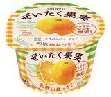 「今年も発売！ 生産量日本一の和歌山県産のはっさくを贅沢に使用した「ぜいたく果実ヨーグルト 和歌山はっさく」を発売」の画像1
