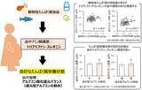「妊娠期におけるたんぱく質栄養状態には、特定の血中アミノ酸濃度が関係していることを確認」の画像1