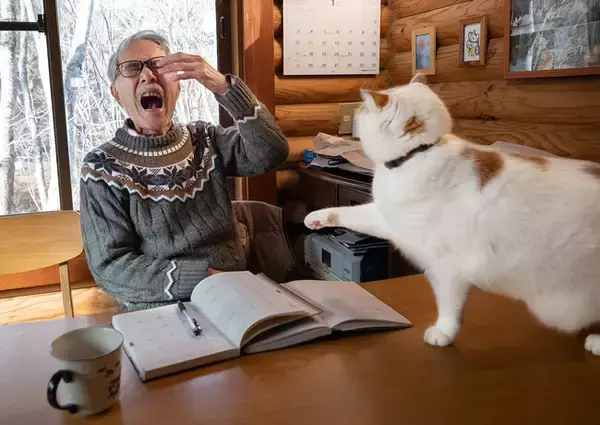 あの猫とお父さんの攻防がまさかのグッズ化　写真集『メイ先輩』特大パネルも登場