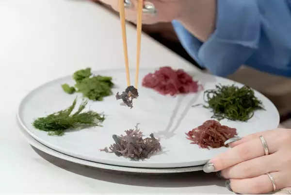 シーベジタブル、八重洲に新拠点。海藻の可能性をひらく実験の場「SEAVEGE- Kitchen Lab」を3月に始動
