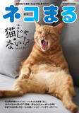 「猫だけど猫じゃない!?︎　不思議な仕草や表情が魅力の猫たちが集まる『ネコまる』2026夏秋号 Vol.52が5月21日（木）に発売」の画像1