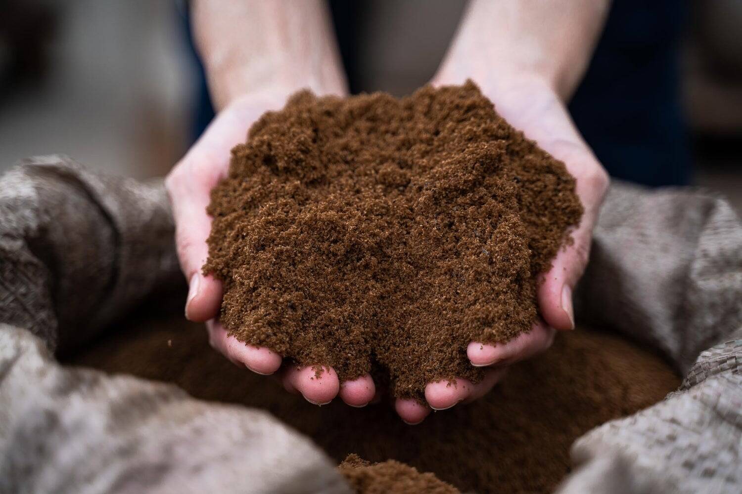 おがくずの探求から始まった、発酵温浴nifuの持続可能な美容革命