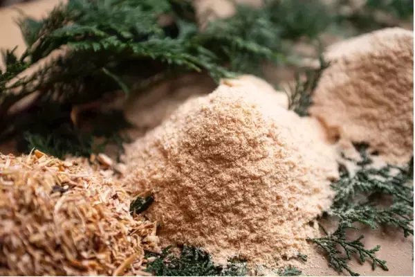 「おがくずの探求から始まった、発酵温浴nifuの持続可能な美容革命」の画像