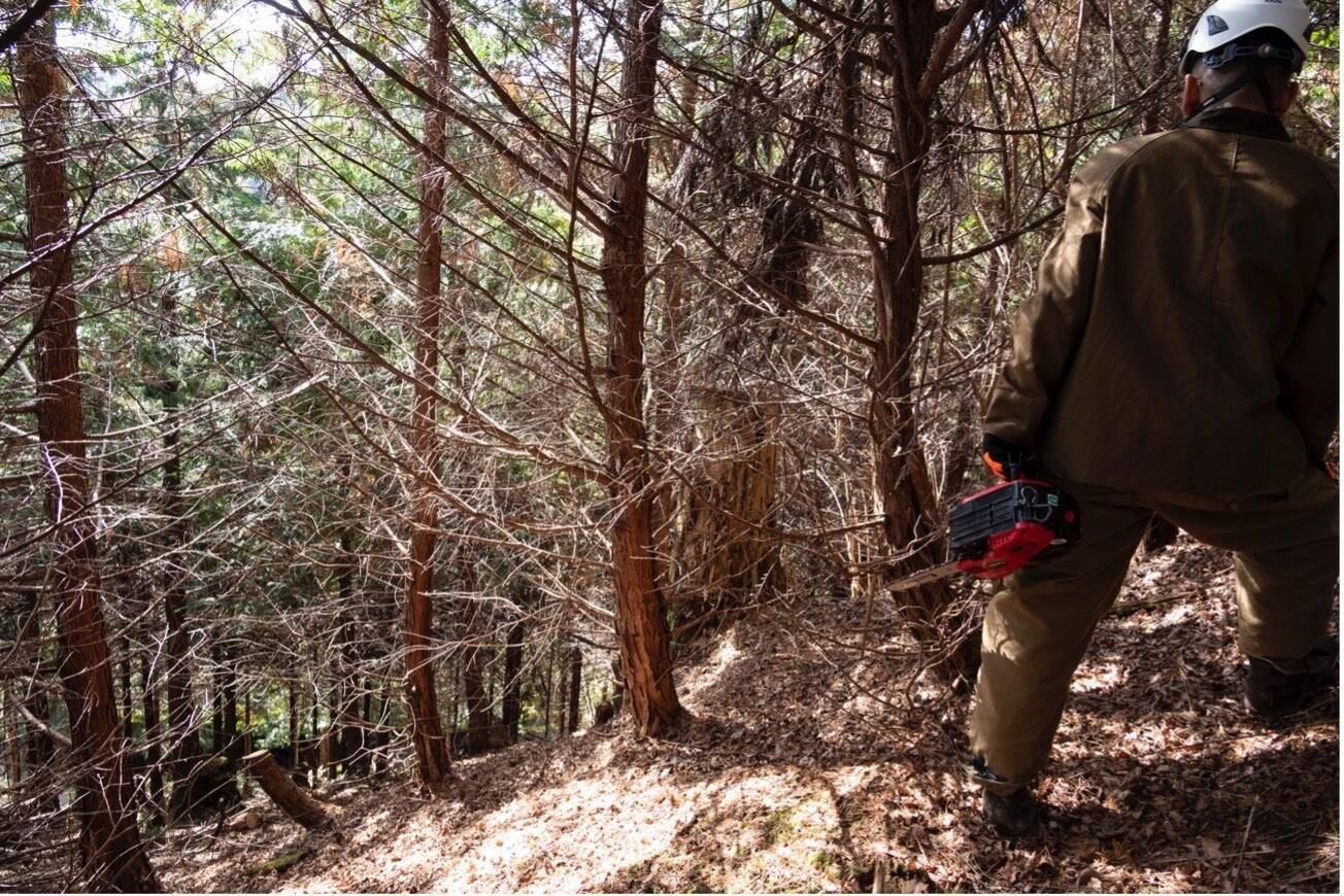 おがくずの探求から始まった、発酵温浴nifuの持続可能な美容革命